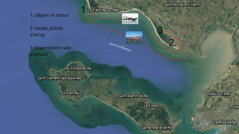 Parcours Pointe d'Arçay et Estuaire du Lay